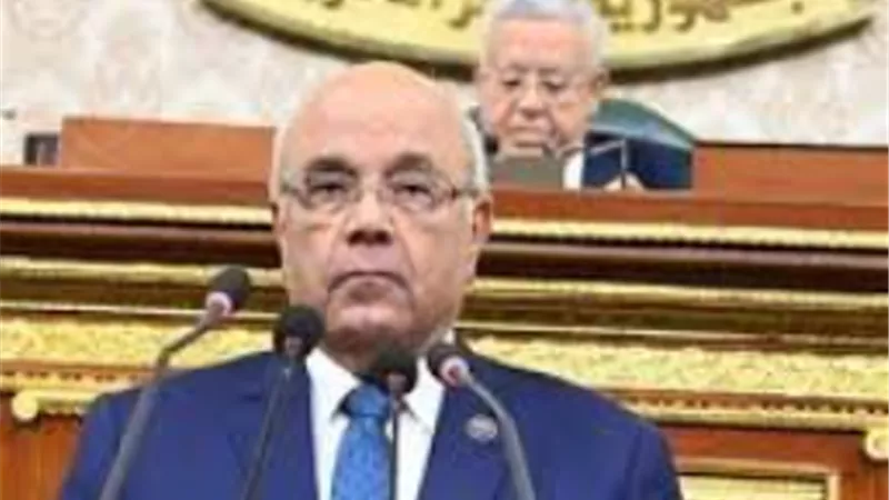 الفيومي: ضبط الأسعار والأسواق يجب أن يحظى بأولوية الحكومة الجديدة
