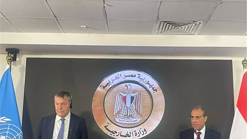 وزير الخارجية: مصر لن تقبل بأي بديل لـ 