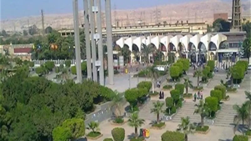 تعرف على برنامج الترجمة الفورية بكلية الآداب جامعة حلوان