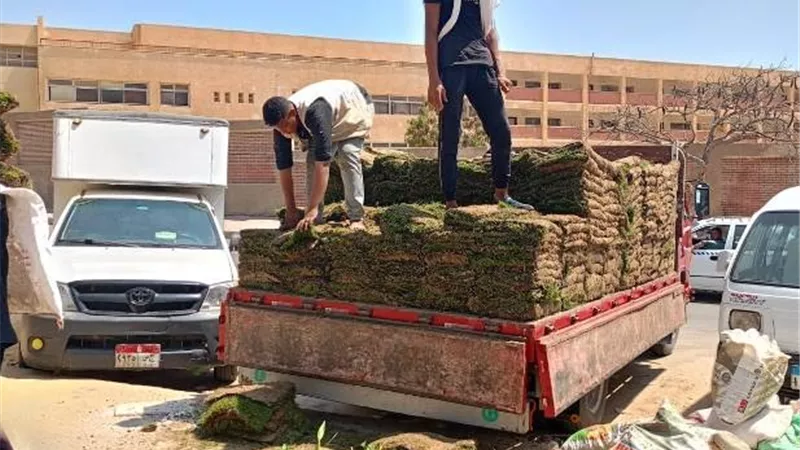 جهاز الشيخ زايد يكشف عن أحدث أعمال الزراعة داخل الأحياء.. بالصور