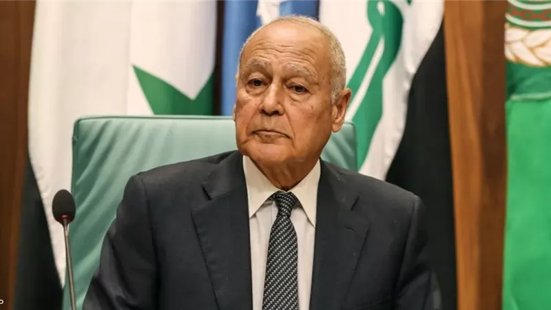 أبو الغيط يحث الحكومة اليابانية على تشجيع الشركات لتوسيع عملها بالمنطقة العربية