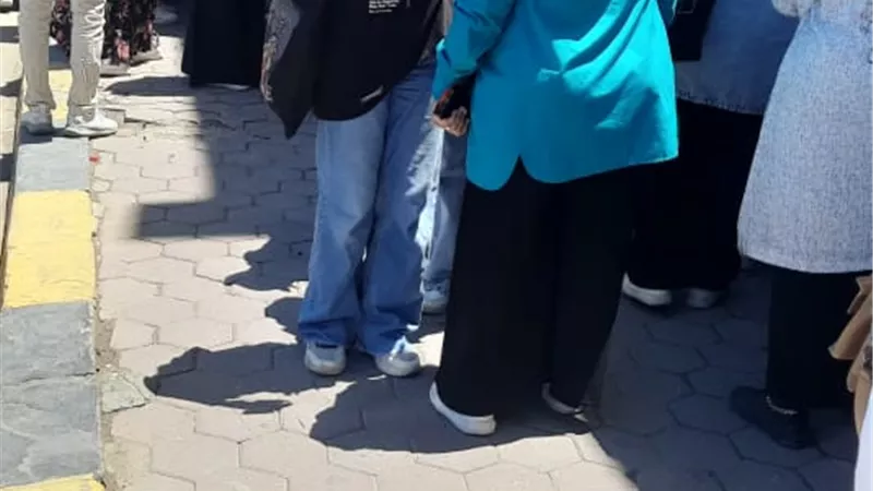 الجبر والفراغية وعلم النفس والجيولوجيا فى مستوى الطالب المتوسط