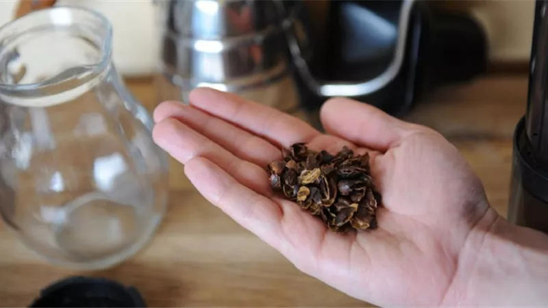 3 طرق مختلفة للاستفاده من فوائد قشور القهوة للتنحيف
