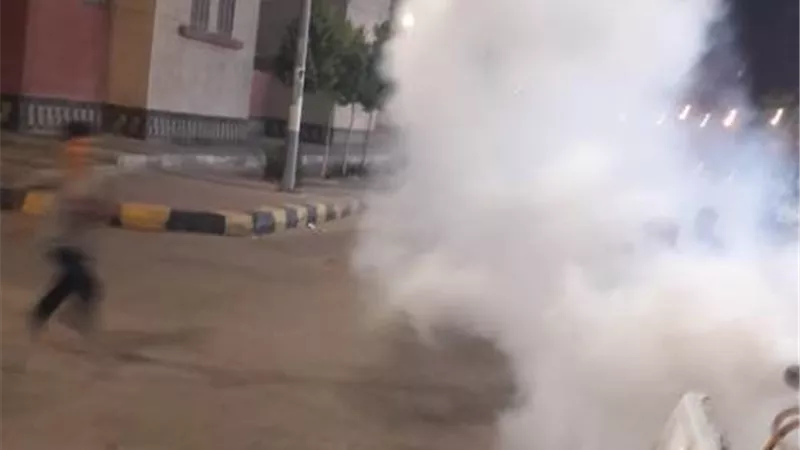 جهاز بدر ينفذ حملات لمكافحة الحشرات حفاظاً على صحة المواطنين صور