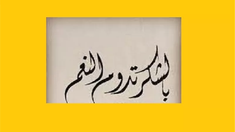 ذكر يحفظ النعم من نقم اعتيادها..داوم عليه النبىﷺ