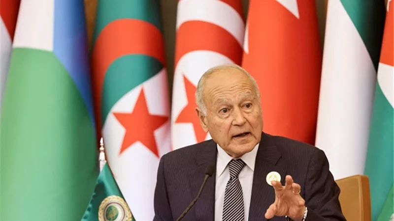 أبو الغيط يطالب بالانتقال بالشراكة العربية اليابانية إلى شراكة استراتيجية