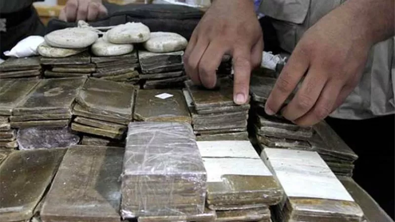 ضبط كميات من المواد المخدرة وتنفيذ 806 أحكام قضائية بدمياط وأسوان