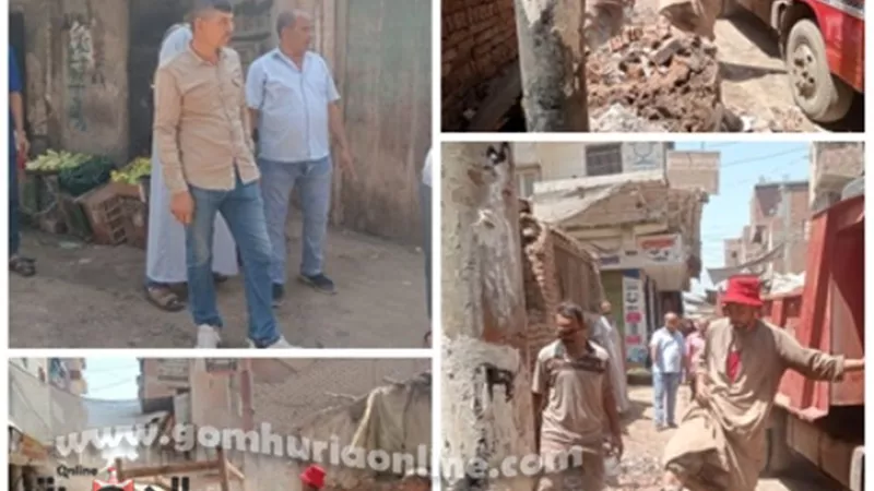حملة مكبرة لرفع الاشغالات بشوارع ومداخل قرية دلهمو بأشمون