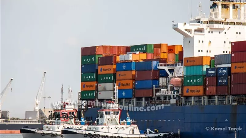 ٣٦ سفينة و ٥٤٤٥ شاحنة علي أرصفة ميناء دمياط