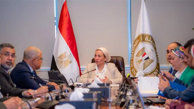 د.ياسمين فؤاد: 271 مليون يورو لدعم الصناعة الخضراء