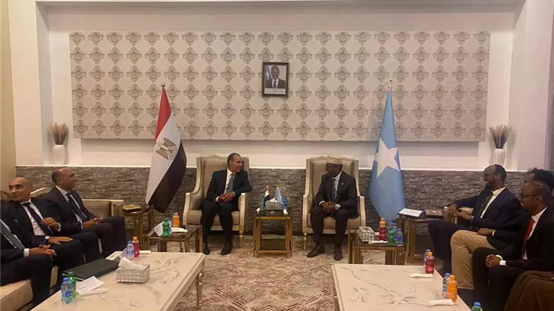 وزير الخارجية يعقد مباحثات مع نظيريه الجيبوتي والصومالى
