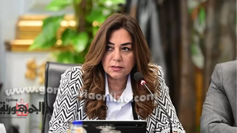 تفاصيل برنامج وزارة التنمية المحلية في الحكومة الجديدة
