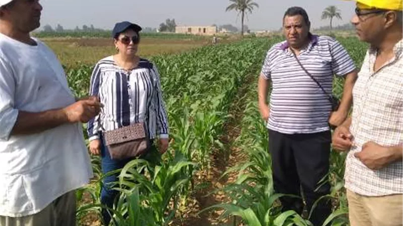 قاسم: باب مديرية الزراعة بالإسكندرية مفتوح لاستقبال شكاوى المزارعين
