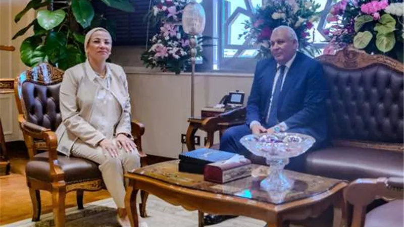 وزيرة البيئة ومحافظ الوادي الجديد يبحثان تحويل جريد النخل إلى اخشاب