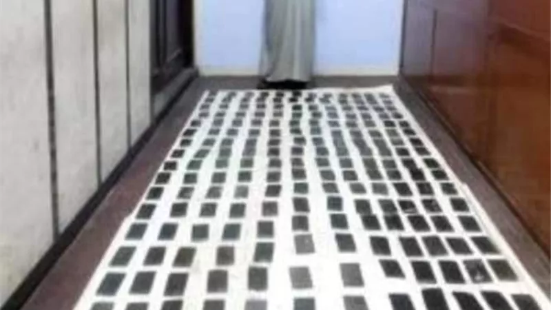 ضبط 25 كيلو حشيش بحوزة 3 عناصر إجرامية بالجيزة والإسكندرية