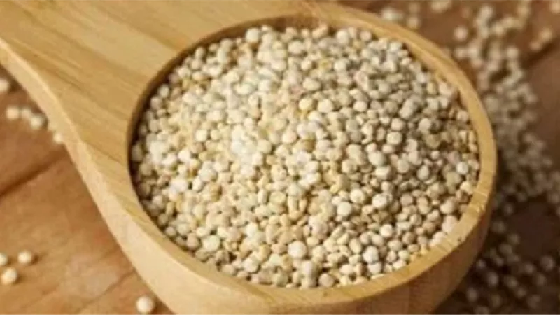 أعراض حساسية الكينوا