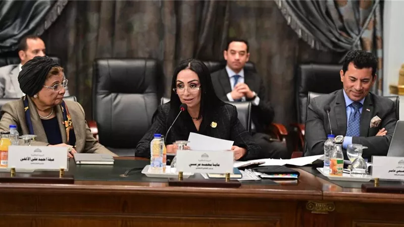 التضامن:العمل على تحقيق العدالةالاجتماعيةوتوفير الحماية لمحدودي الدخل
