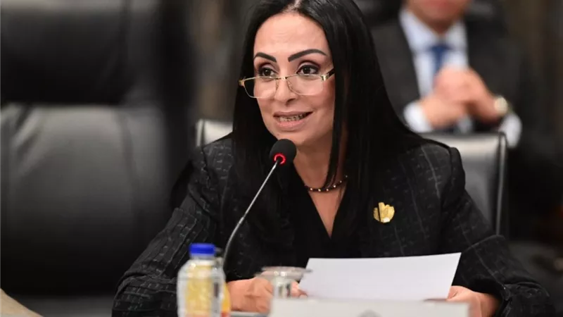 التضامن: ربط المبادرات الاجتماعية للدولة 