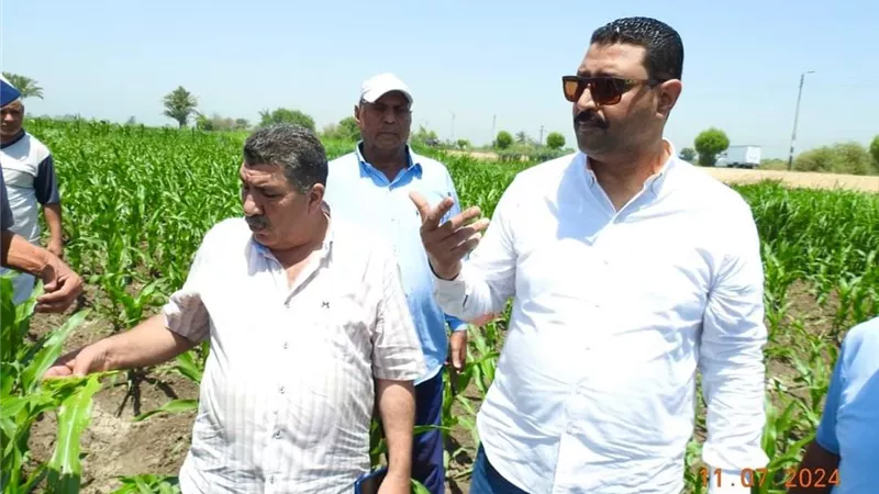 مدير زراعة المنيا يتفقد المحاصيل الصيفية بشمال المنيا