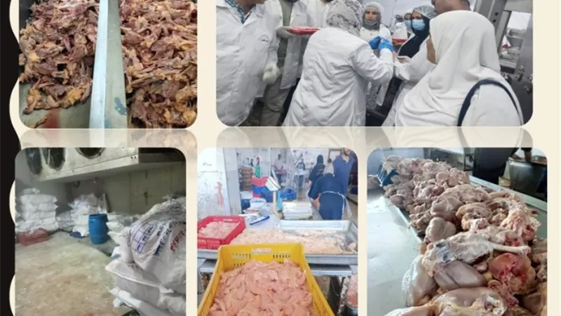 ضبط 430 من اللحوم والأسماك مجهولة المصدر ومنتهية الصلاحية بالشرقية