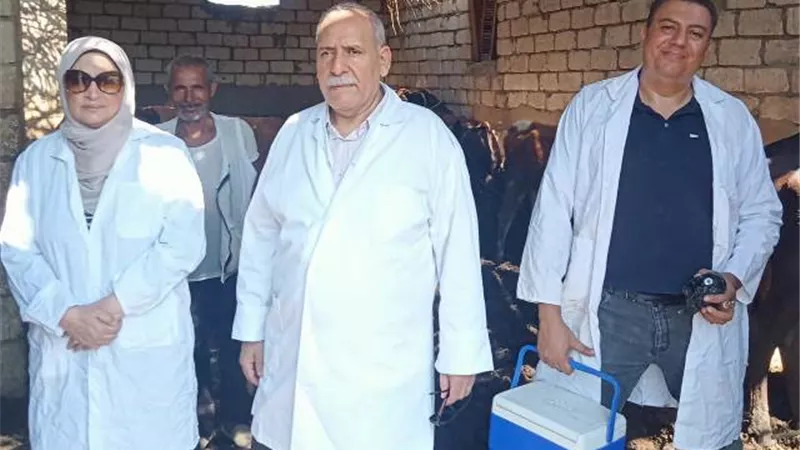 تحصين 3565 رأسا من الأبقار والجاموس فى الفيوم