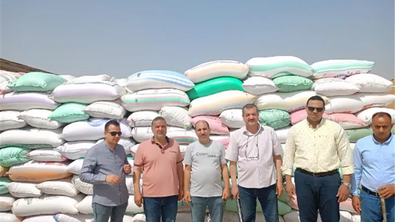 اليوم ال 88 توريد 230050 طن قمح بالبحيرة