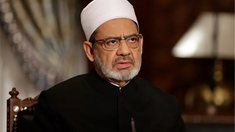 شيخ الأزهر يصل أرض الوطن بعد جولة خارجية