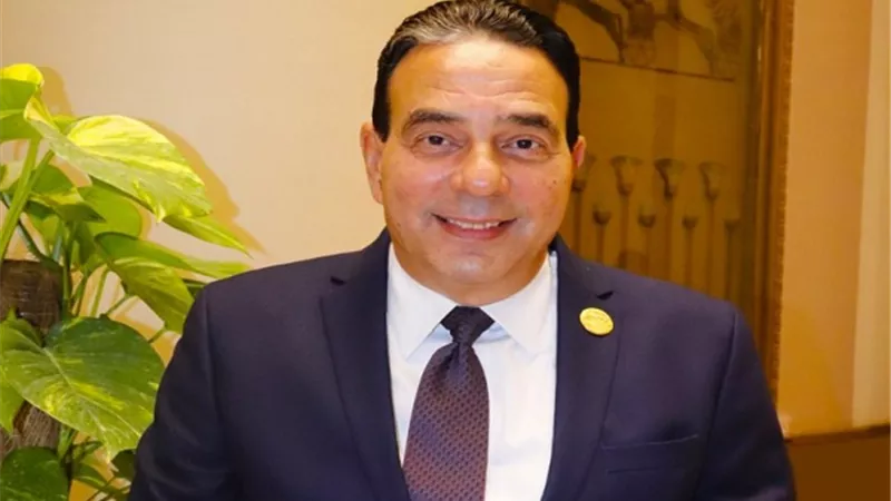 النائب أيمن أبوالعلا: الحلول المقدمة للمشكلات الاقتصادية طويلة الأجل.. وبعض الأمور تحتاج خططا قصيرة المدة