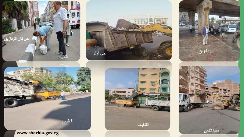 إزالة 24 تعديا على الأراضي الزراعية وأملاك الدولة بالشرقية