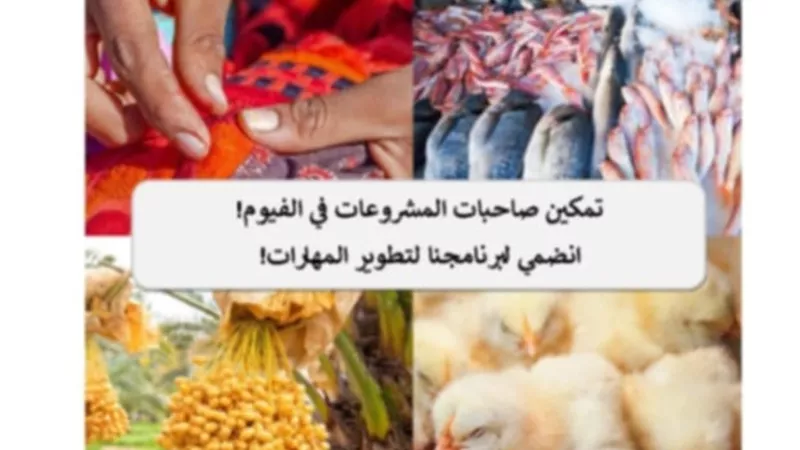 برنامج تدريبي لتعزيز قدرات النساء بالفيوم