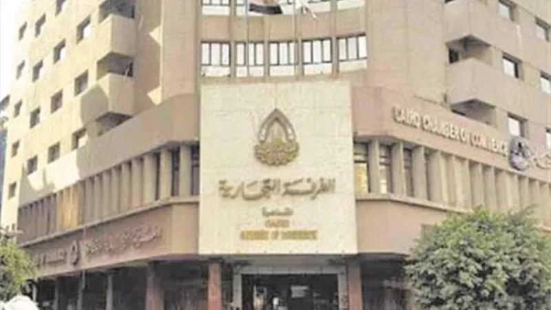 عضو بالغرف التجارية: بحثنا مع وزيري الاستثمار والتموين تعزيز التعاون