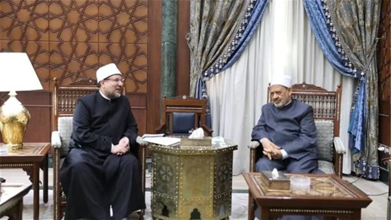 شيخ الأزهر يستقبل وزير الأوقاف السابق بمشيخة الأزهر