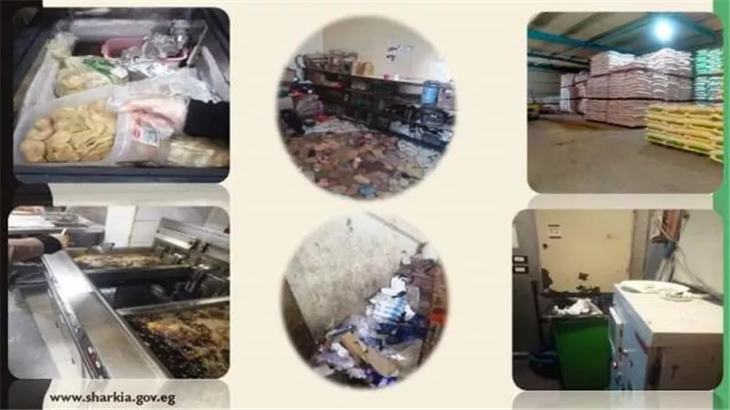 التفتيش على ٢١منشأة غذائية وبنزينة ومعاينة لمحطات محمول بالشرقية