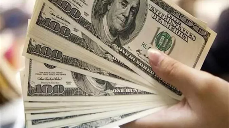 الدولار ينهي تعاملات اليوم مرتفعا 20 قرشا أمام الجنيه
