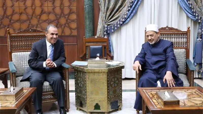 وزير الخارجية: سفاراتنا في الخارج مُسخَّرة لخدمة الأزهر ونشر رسالته