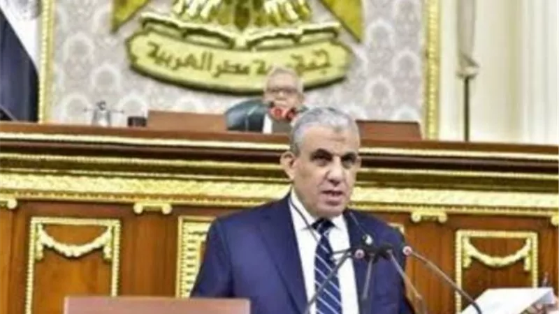 رئيس قوى عاملة النواب: الحكومة الجديدة قدمت رؤية واضحة للتنمية