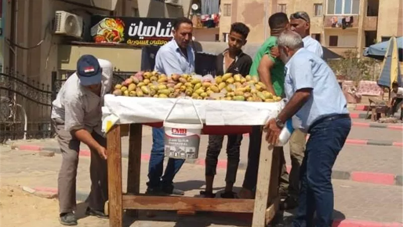 جهاز مدينة بدر ينفذ حملة لإزالة الإشغالات والمركبات المخالفة صور