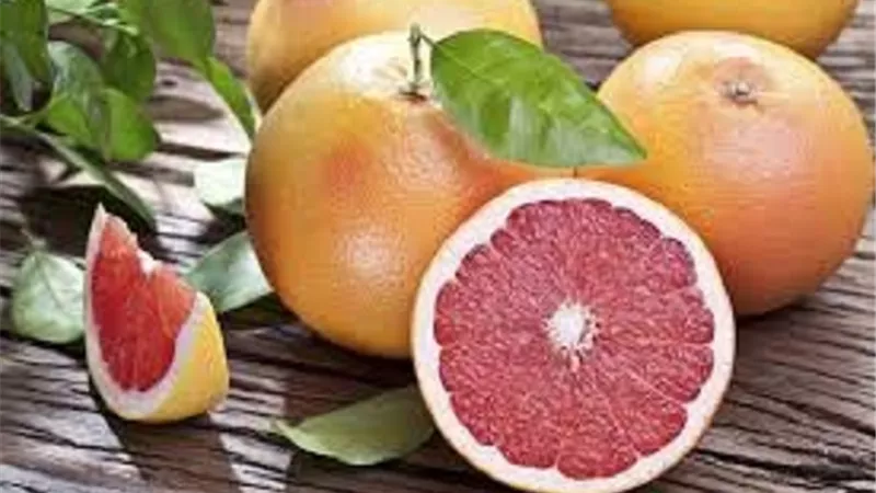 ما هي فاكهة الجريب فروت ؟
