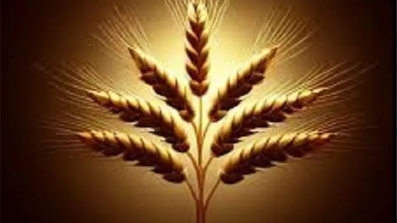 تطور الذكاء الاصطناعى وخارطة أخلاق المسلم فى الرزق