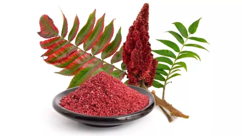 فوائد نبات السماق الصحية