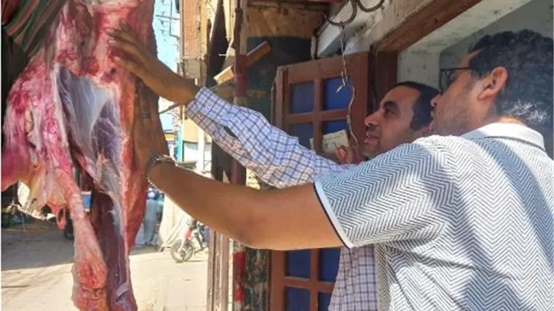 الخدمات البيطرية تضبط أكثر من 45 طن لحوم وأسماك غير صالحة