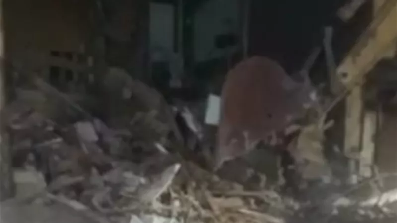 انهيار منزل من 3 طوابق خالي من السكان بالغربية