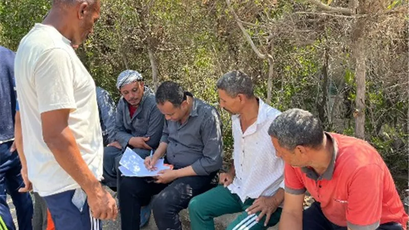 استمرار حصر وتسجيل عمالة غير منظمة داخل الميادين بالقاهرة