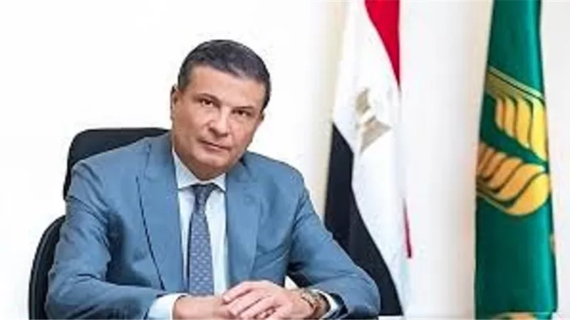 تصدير دواجن مجمدة مصرية إلي 5 دول عربية
