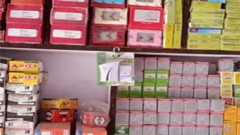 تنفيذ ١٩ ألفا و٢٥٧ مشروعا لشباب الشرقية بـ٣ مليار و٢٤٧ مليون جنيه