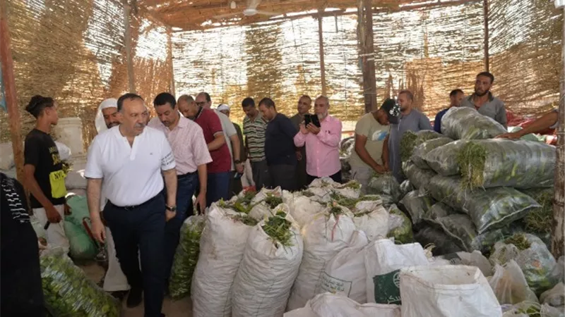 محافظ أسيوط يقود حملة لازالة الاشغالات وإعادة الانضباط