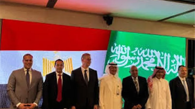 عصمت: لجان عمل مصرية - سعودية للاستفادة من تطوير شبكة الكهرباء فى الدولتين