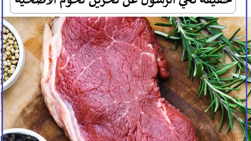 حقيقة نهي الرسول عن تخزين لحوم الأضحية أكثر من 3 أيام