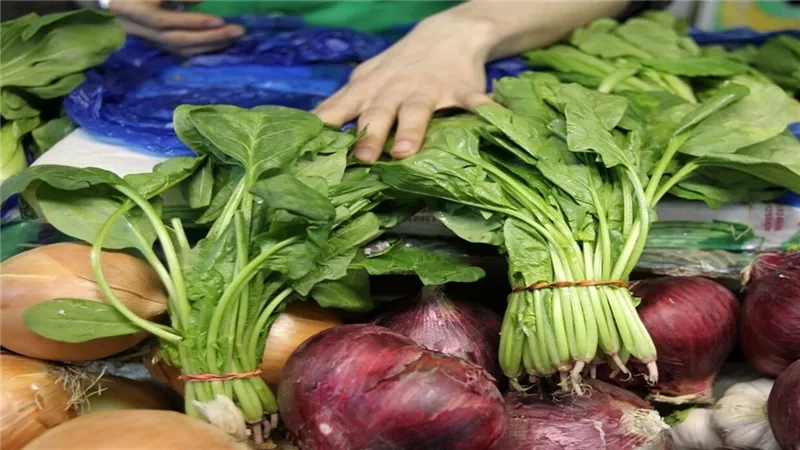 ما لا تعرفه عن السبانخ.. تحذيرات طبية لمصابي الأمراض المزمنة
