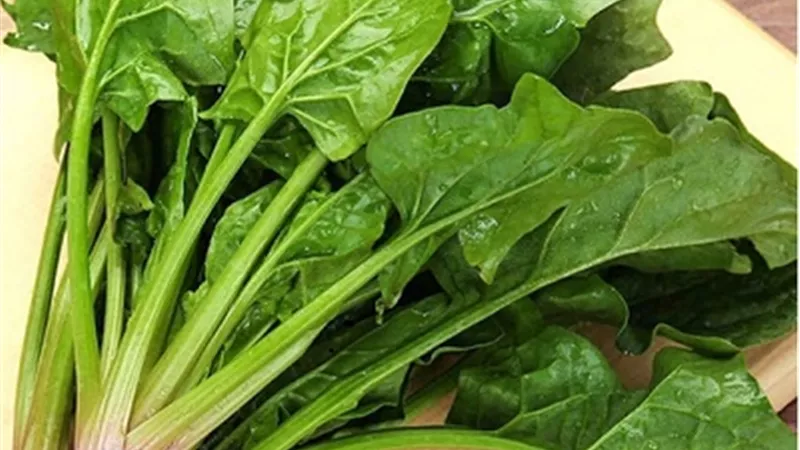 طبيبة: السبانخ يشكل خطورة على الصحة في حالات معينة